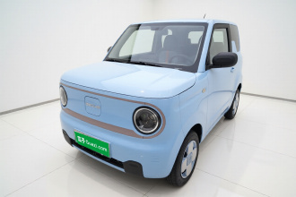 吉利银河 2023款 熊猫mini 200km 耐力熊