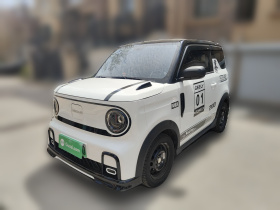 吉利银河 2025款 210km 熊猫卡丁