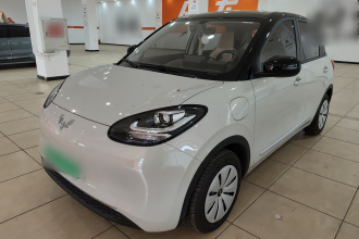 五菱汽车 五菱缤果 2024款 203km 轻享款