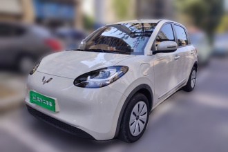 五菱汽车 五菱缤果 2025款 203km 轻享款