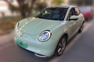 欧拉好猫 2022款 400km标准续航 豪华型 三元锂