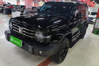 坦克300 2021款 城市版 2.0T 我看型