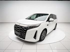 比亚迪 夏 2025款 DM-i 1.5T 180km 超越型