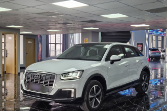 奥迪Q2L e-tron 2019款 Q2L e-tron 纯电智享型