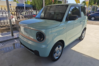 吉利银河 2023款 熊猫mini 200km 耐力熊