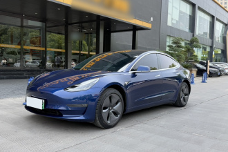 特斯拉 Model 3(进口) 2019款 长续航后驱版