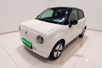 欧拉黑猫 2021款 301km 基础型