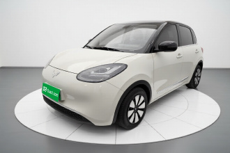 五菱汽车 五菱缤果 2023款 203km 舒享款