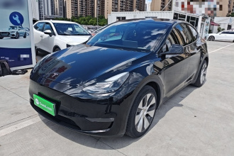 特斯拉 Model Y 2021款 长续航全轮驱动版