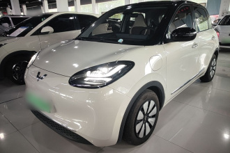 五菱汽车 五菱缤果 2023款 410km 灵犀尊享款