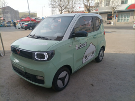 五菱汽车 宏光MINIEV 2021款 马卡龙臻享款 磷酸铁锂