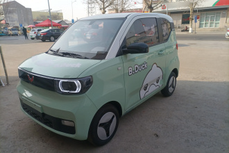 五菱汽车 宏光MINIEV 2021款 马卡龙臻享款 磷酸铁锂