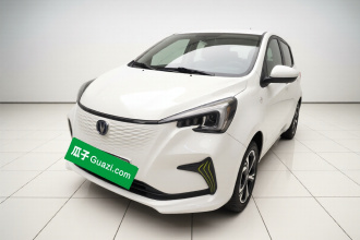 长安 奔奔E-Star 2020款 心动版 磷酸铁锂（31.18kWh）