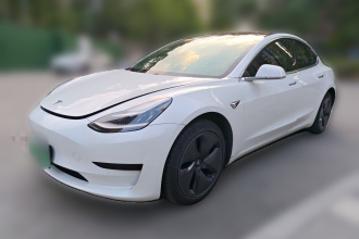 特斯拉 Model 3 2019款 标准续航后驱升级版