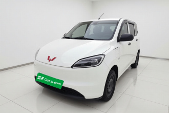 五菱汽车 五菱宏光新能源 2024款 纯电版 300KM 实用型