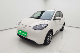 五菱汽车 五菱缤果 2024款 333km 悦享款