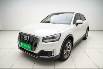 奥迪Q2L e-tron 2019款 Q2L e-tron 纯电智享型