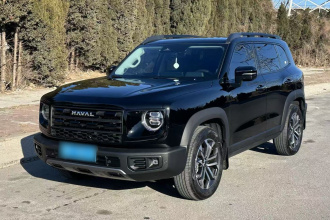 哈弗大狗 2026款 2.0T DCT中华田园犬版