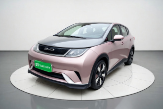 比亚迪 海豚 2021款 401km 骑士版