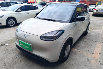 五菱汽车 五菱缤果 2024款 333km 悦享款