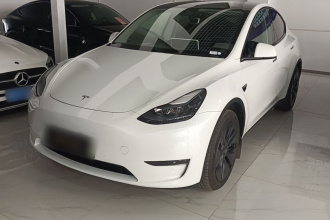 特斯拉 Model Y 2023款 长续航全轮驱动版