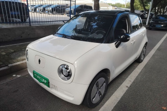 欧拉黑猫 2021款 301km 基础型