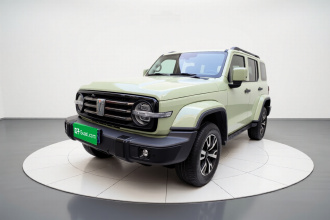 坦克300 2021款 城市版 2.0T 很有型