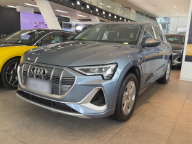 奥迪e-tron 2021款 50 quattro 豪华型