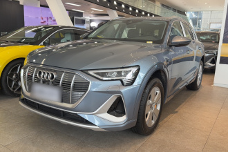 奥迪e-tron 2021款 50 quattro 豪华型