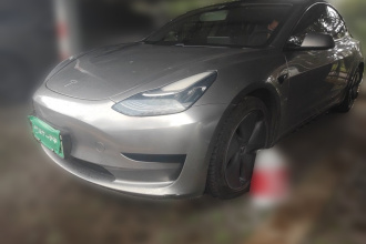 特斯拉 Model 3 2020款 标准续航后驱升级版