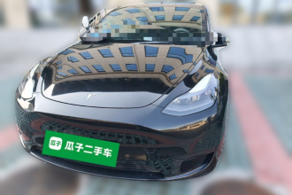 特斯拉 Model Y 2022款 后轮驱动版