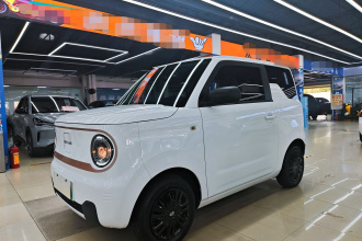 吉利银河 2023款 熊猫mini 200km 耐力熊