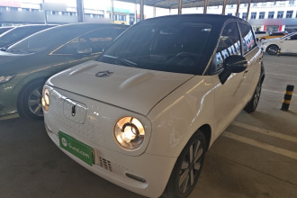 欧拉黑猫 2021款 351km 标准型