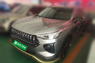 哈弗赤兔 2021款 激擎版 1.5T 黄金兔