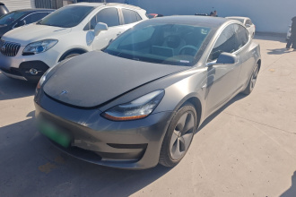 特斯拉 Model 3 2019款 标准续航后驱升级版