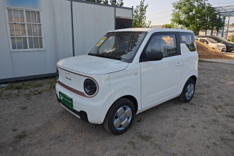 吉利银河 2024款 熊猫mini 200km 耐力熊