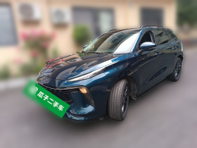 东风风行 风行T5 EVO 2021款 1.5TD DCT钻石版