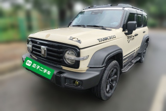 坦克300 2021款 越野版 2.0T 征服者