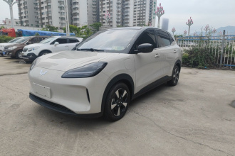 五菱汽车 五菱缤果PLUS 2024款 510km 五座版