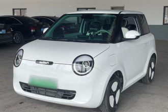 长安启源 长安Lumin 2024款 130km 清悦款