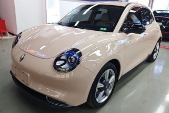 欧拉好猫 2023款 401km标准续航 尊荣型 磷酸铁锂