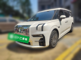 极氪009 2022款 WE版