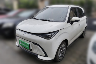 凯翼拾月 2025款 Mate 300km踏浪版