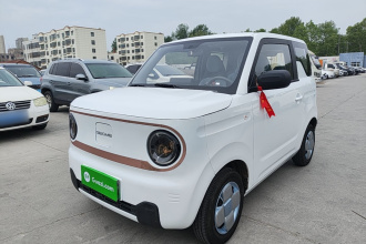 吉利银河 2024款 熊猫mini 200km 耐力熊