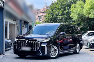 岚图汽车 岚图梦想家 2024款 PHEV 超长续航尊贵版