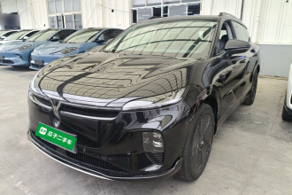 岚图汽车 岚图知音 2024款 长续航智享版