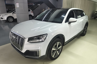 奥迪Q2L e-tron 2019款 Q2L e-tron 纯电智享型