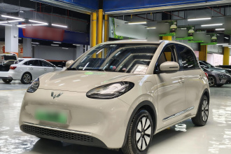 五菱汽车 五菱缤果 2023款 333km 灵犀互联款