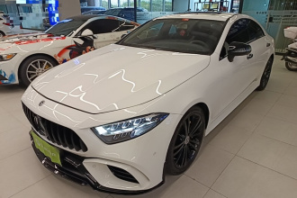 奔驰CLS 2020款 CLS 300 动感型