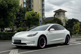 特斯拉 Model 3 2021款 改款 标准续航后驱升级版 3D1